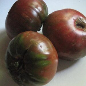 Tomato Black Krim  - 6-pack