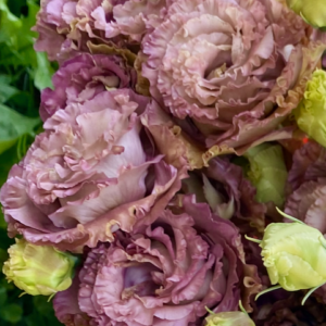 dusty-rose, ruffled rose-like lisanthus flowers
