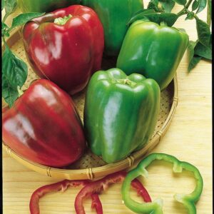 green and red sweet bell peppers