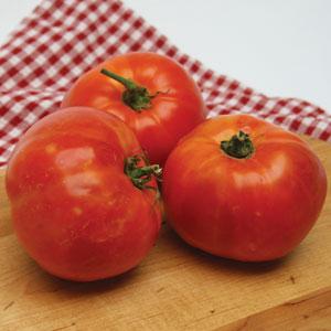 Three large, orange-red tomatoes on a red checkered tablecloth